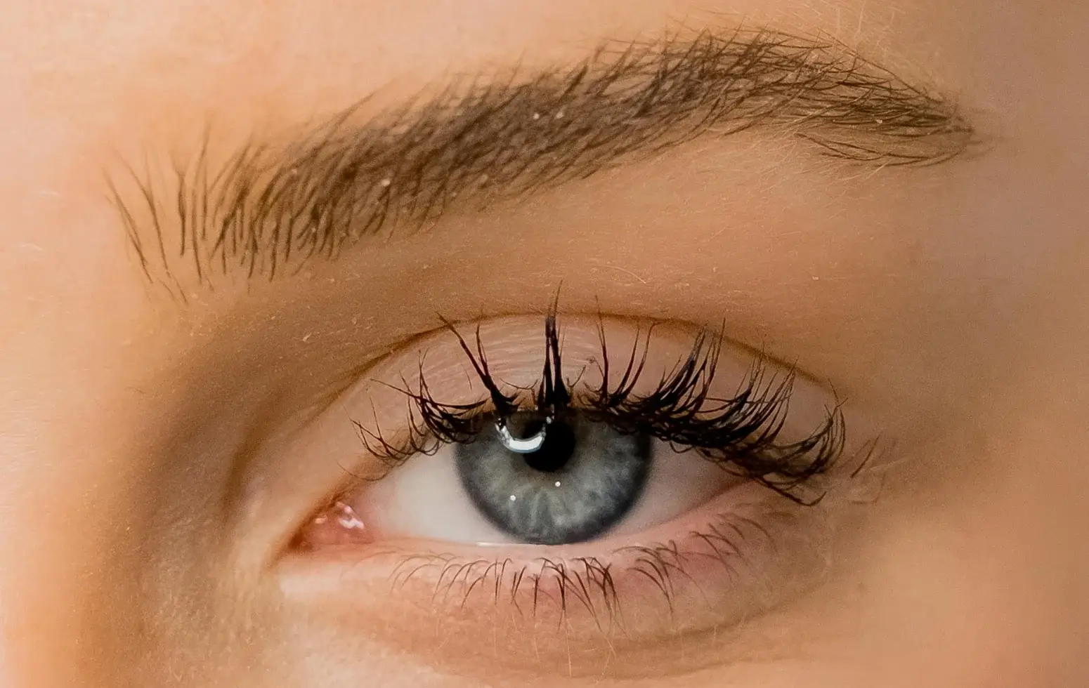 zbliżenie na niebieskie oko i brwi kobiety
