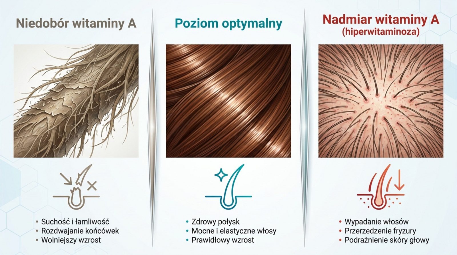 Wpływ witaminy A na włosy – porównanie niedoboru, poziomu optymalnego i nadmiaru (hiperwitaminozy)